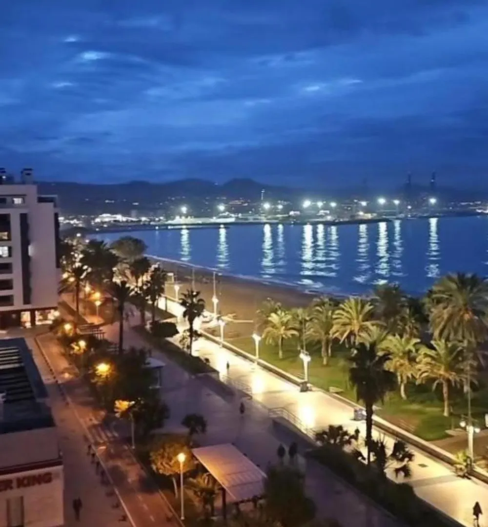 Oli-Ole Apartment Malaga